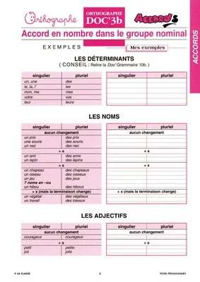 Les accords en genre et en nombre - les règles à retenir