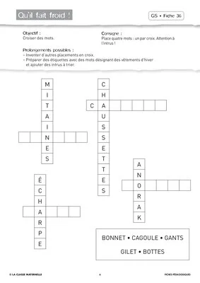 Attention visuelle GS janvier février