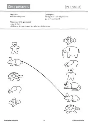 Attention visuelle PS janvier février