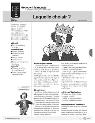 Association de formes : Laquelle choisir ?