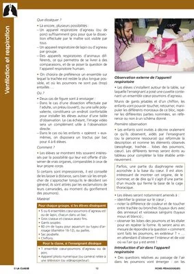 Ventilation et respiration