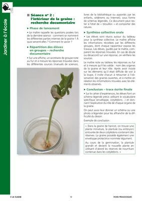 Jardiner à l'école
