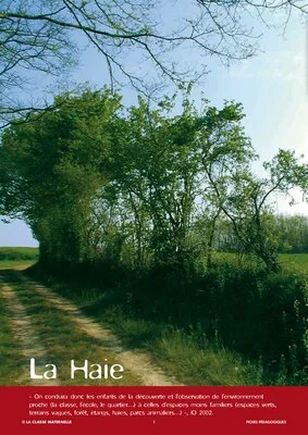 Le monde végétal : la haie