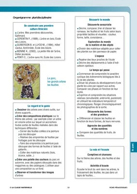 Le monde végétal : le parc