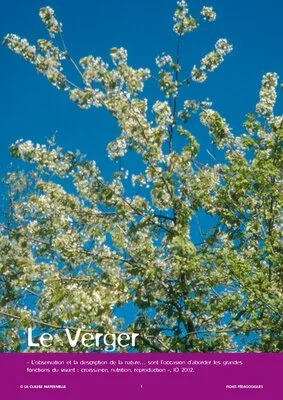 Le monde végétal : le verger