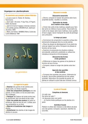 le monde végétal : les germinations