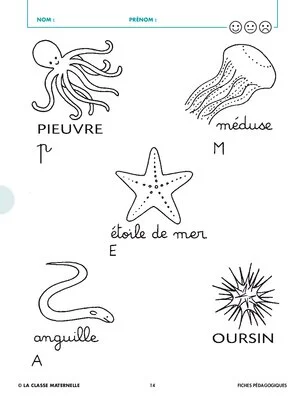 La pieuvre