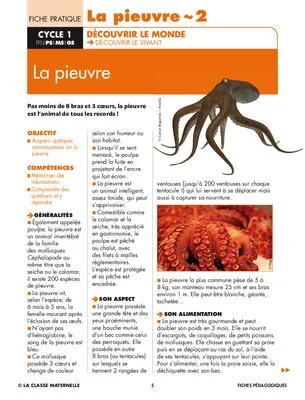 La pieuvre