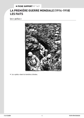 La première guerre mondiale : les faits