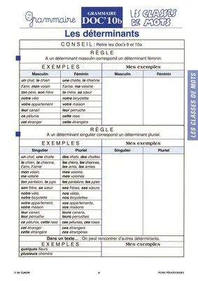 Grammaire CE. Les classes de mot