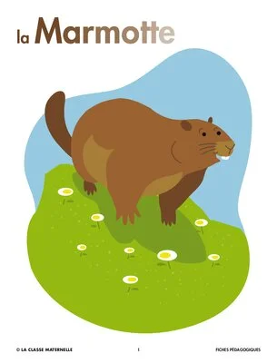 La marmotte
