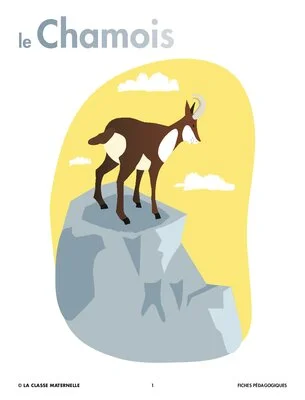 Le chamois
