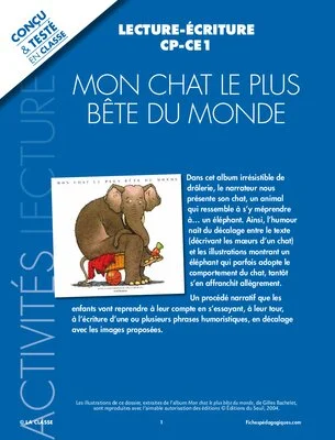 Mon chat le plus bête du monde