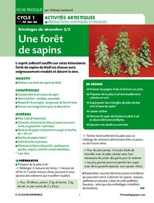 Une forêt de sapins