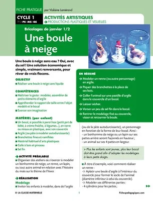 Une boule à neige