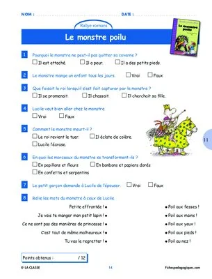 Rallye lecture romans CE1 CE2