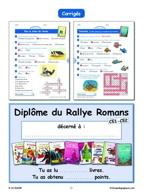 Rallye lecture romans CE1 CE2