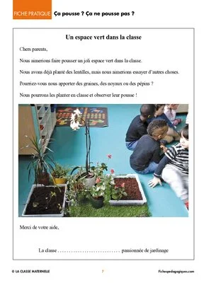 Un espace vert dans ma classe