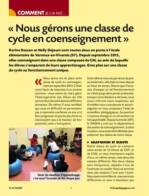 Nous gérons une classe de cycle en coenseignement