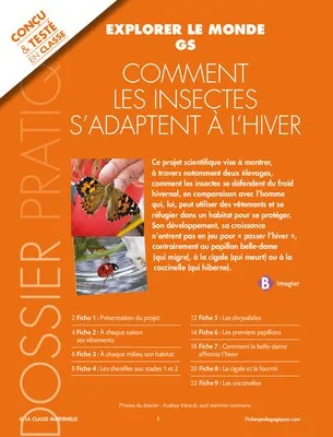 Comment les insectes s'adaptent à l'hiver ?
