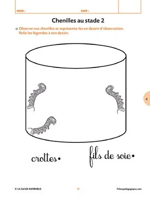 Comment les insectes s'adaptent à l'hiver ?