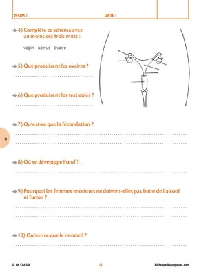Reproduction et sexualité