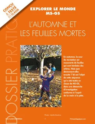L'automne et les feuilles mortes