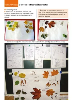 L'automne et les feuilles mortes