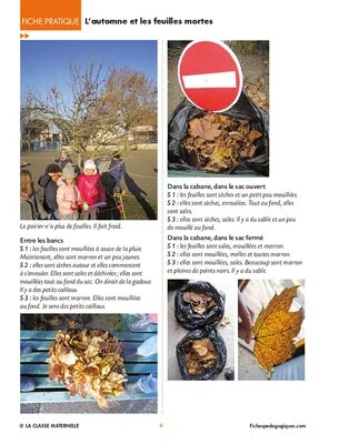 L'automne et les feuilles mortes