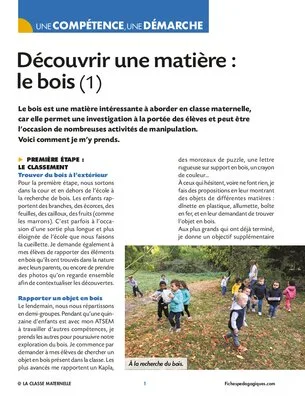 Découvrir une matière : le bois (1)