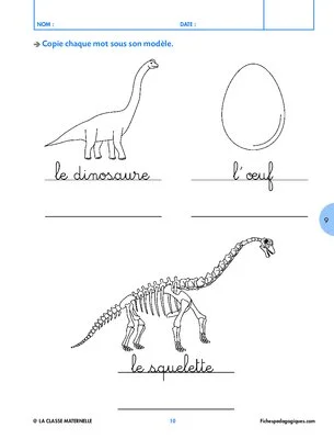 Les dinosaures (1)
