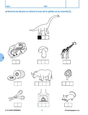 Les dinosaures (1)