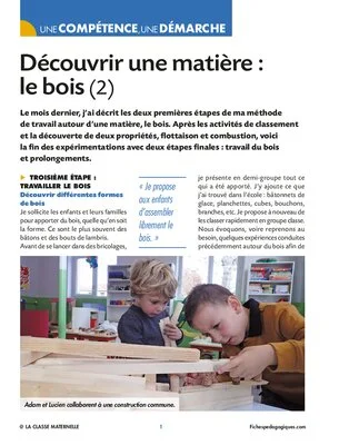 Découvrir une matière : le bois (2)