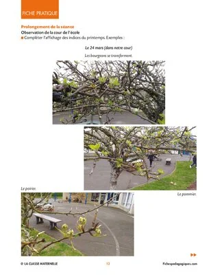 Saisons et biodiversité