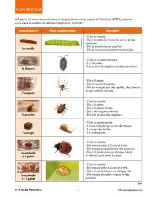 Saisons et biodiversité