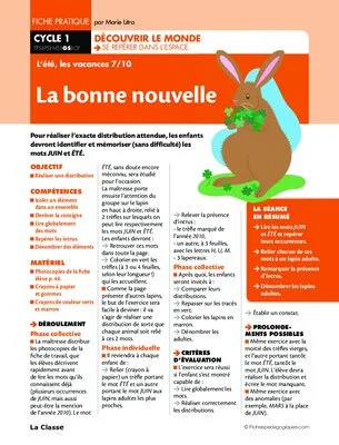Activités autour de l'été Cycle 1
