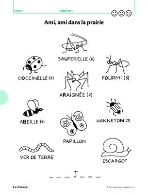 Activités autour de l'été Cycle 1
