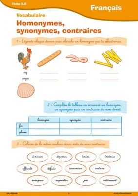 Activités autour de l'été CM1-CM2