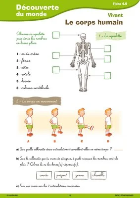 Activités autour de l'été CE1-CE2