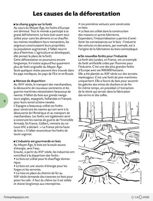 Activités autour de l'automne Cycle 3