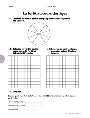 Activités autour de l'automne Cycle 3