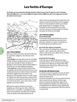 Activités autour de l'automne Cycle 3