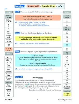 Progression orthographe - Octobre