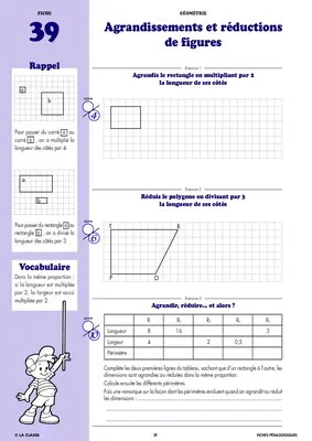 Le Cahier Malin Mathématiques CM1
