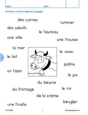 Des images et des mots (1)