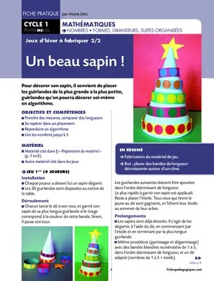 Jeux d'hiver à fabriquer MS