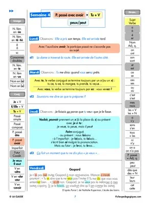 Progression orthographe - janvier
