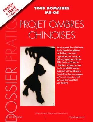 Projet ombres chinoises