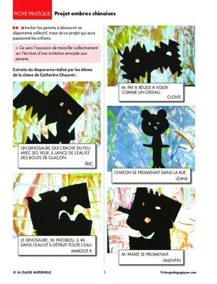 Projet ombres chinoises
