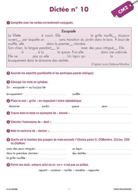 Une année de dictées CM2